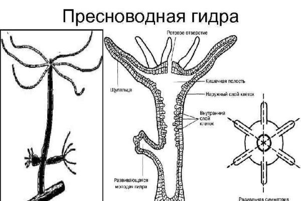 Кракен впн