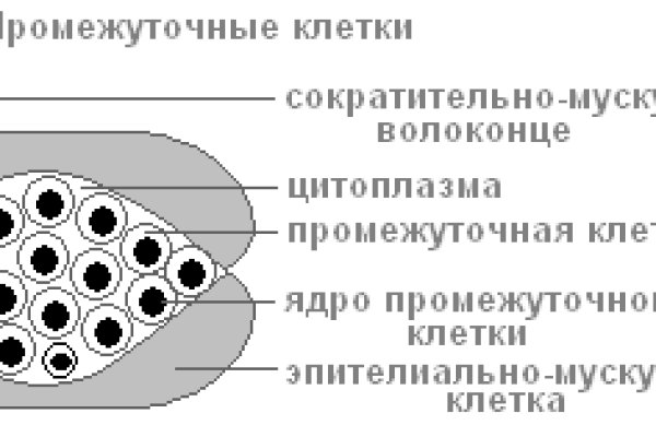 Как зарегаться на кракене